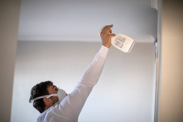 Best Residential Mold Removal  in Lafayette, OR