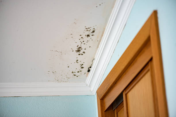 Water Damage Restoration in Lafayette, OR