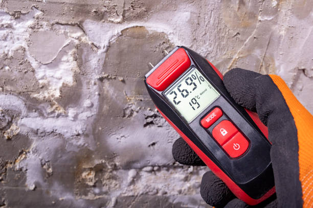 Best Toxic Mold Removal  in Lafayette, OR