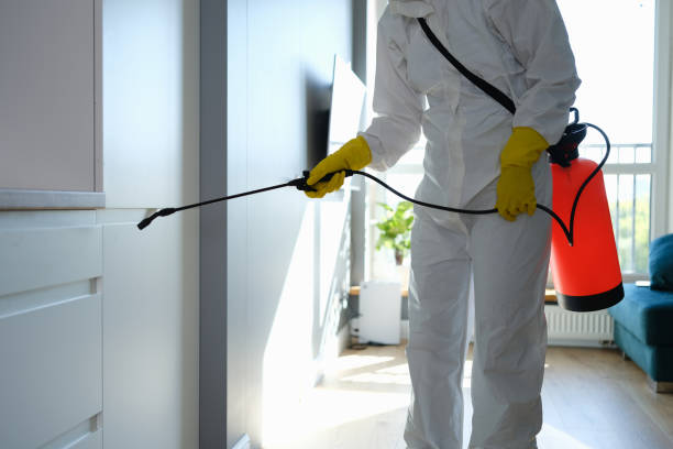 Best Home Mold Removal  in Lafayette, OR